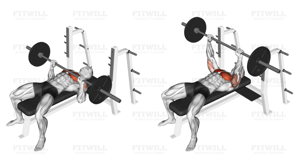 Barbell Bench Press